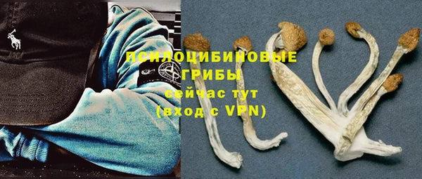 скорость Арсеньев
